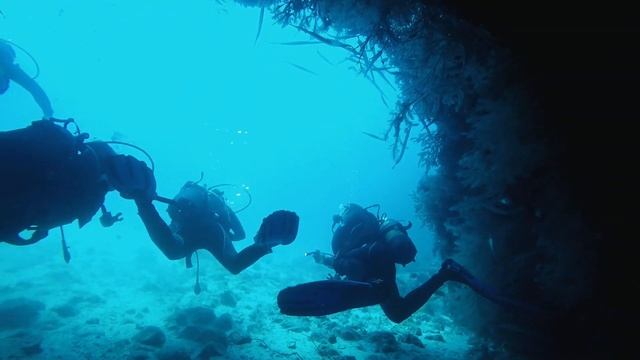 Cape Verde 2019 🇨🇻 Diving смотреть онлайн