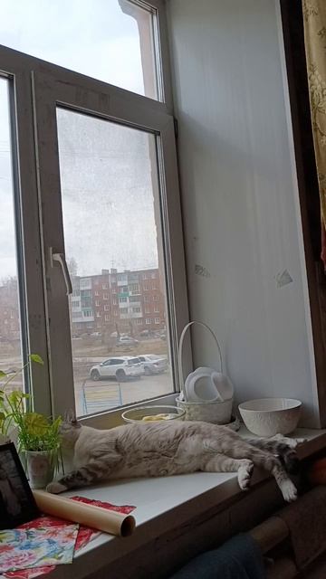 каспер смотреть онлайн