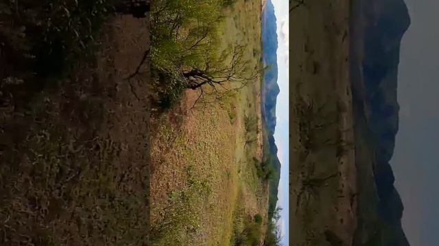Дагестана смотреть онлайн