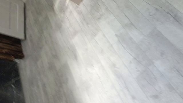 Минипиг Буся.mp4