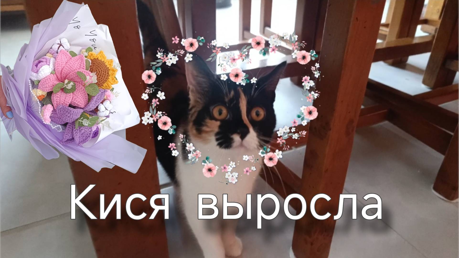 Денис без компьютера. Клубника в апреле. Соседская кошка Happy. смотреть онлайн