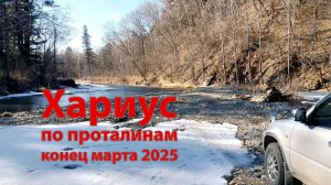 Рыбалка ранней весной по проталинам, ищем хариуса.