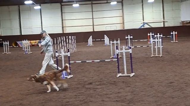 Bess & Zephyr 11.12.2022, REVA Open JWW смотреть онлайн