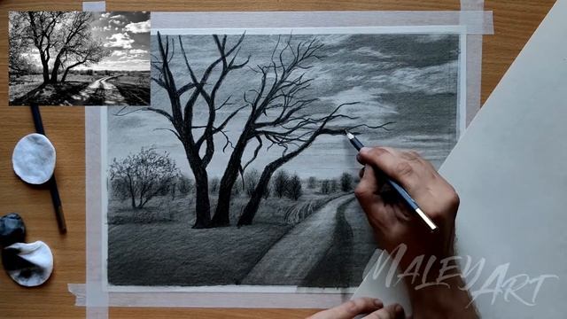 Как нарисовать дерево карандашом / Обучающий урок по рисованию смотреть онлайн