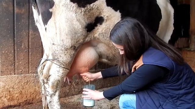 Romania's commercial (2/2): Be eco-friendly - use chemicals sparingly смотреть онлайн