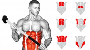 Выполняйте упражнения для Пресса каждый день в течение 30 дней и смотрите на результаты