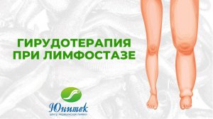 Гирудотерапия при лимфостазе
