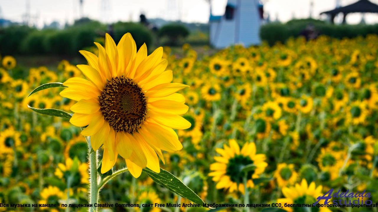 ❤❤❤ Клип, который запрещают - Artificial Rain ( LoF I, Chill ) -- Lo-Fi Astronaut -- Lo-Fi And Beyon