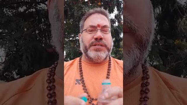 Dr Anandaji explores the Anda Chakras of Rishiculture Gitananda Yoga - Scintillating Saturdays # 10 смотреть онлайн