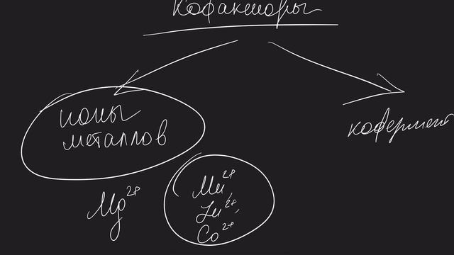 любимая бэха | ферменты как биологические катализаторы (на клизму похоже) смотреть онлайн