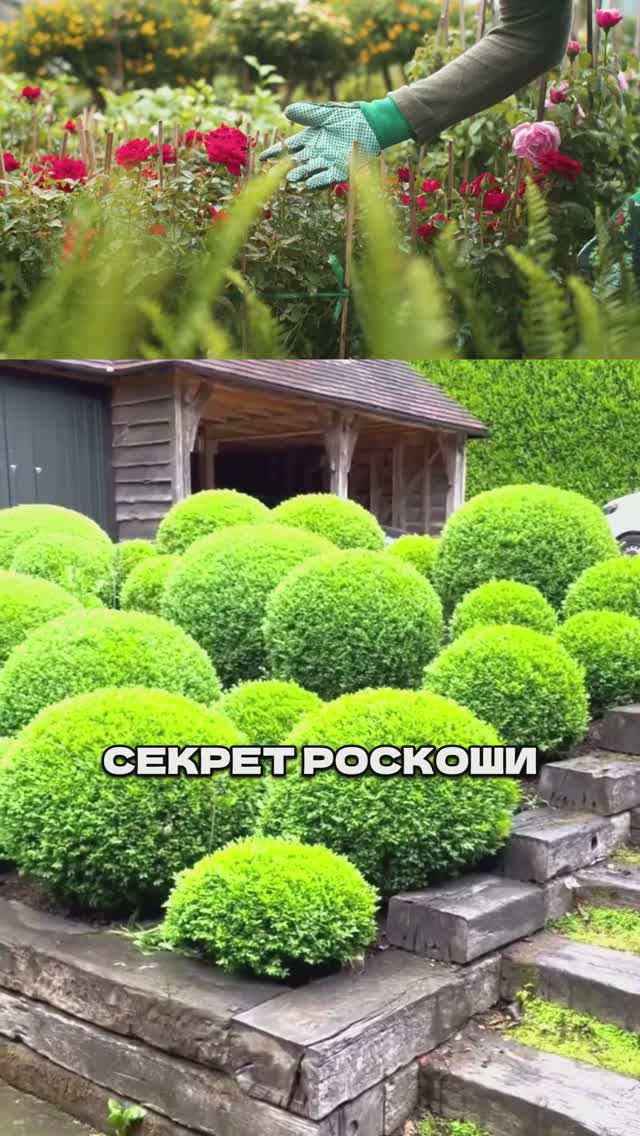 4 Секрета "Дорогого" Сада смотреть онлайн