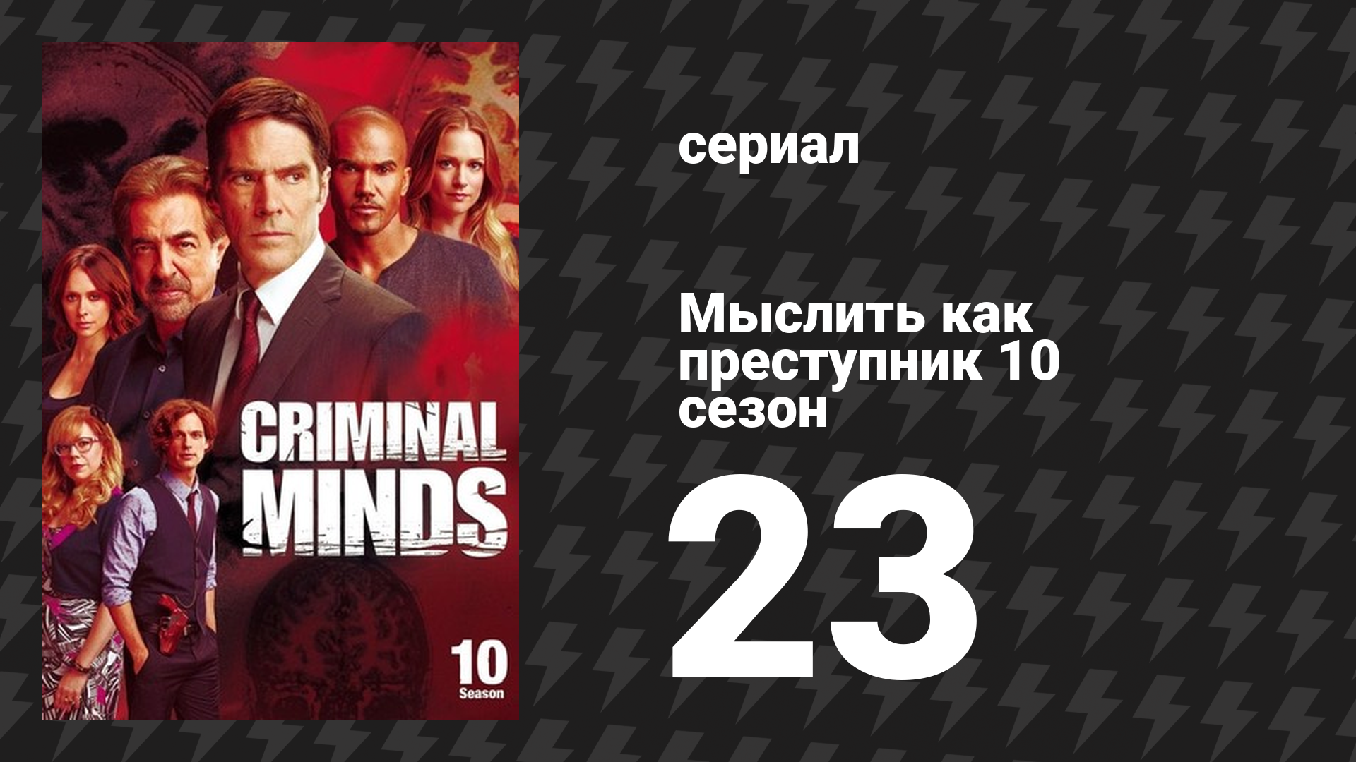 Мыслить как преступник 10 сезон 23 серия «Охота» (сериал, 2005-2020)