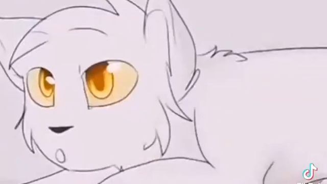 остролап и белогривка кв Warriors cats смотреть онлайн