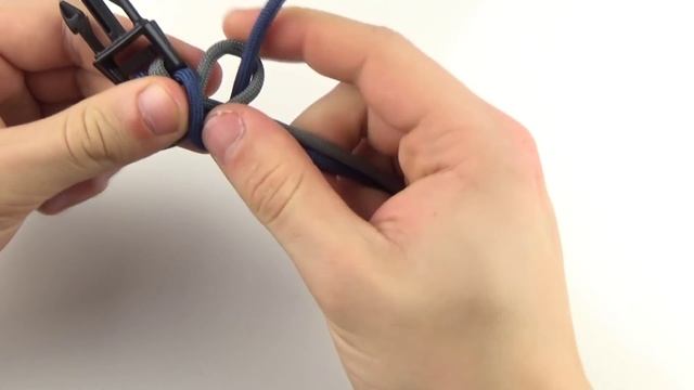 Paracord: Stonoga (Curling Millipede)