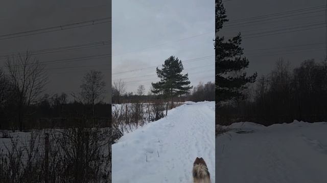 Медитация. энергия солнца смотреть онлайн