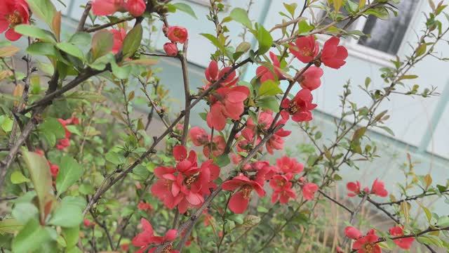 27.03 КРАСНОДАР В КОНЦЕ МАРТА