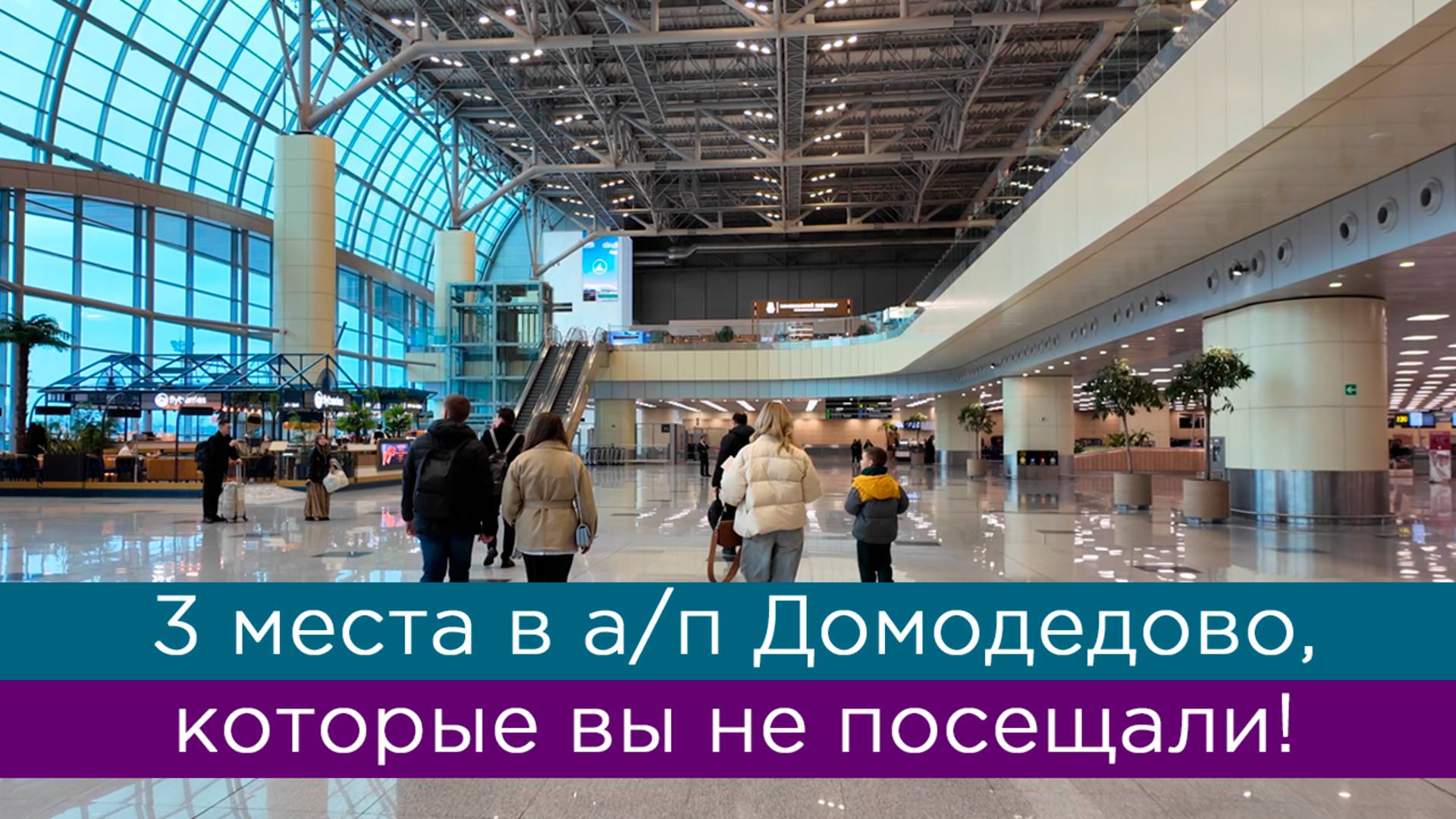 Три места в аэропорту Домодедово, которые вы не посещали! смотреть онлайн