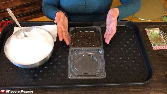 Посев семян сельдерея на рассаду. смотреть онлайн