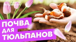 Идеальная почва для тюльпанов / Ученицы Strogoorganic