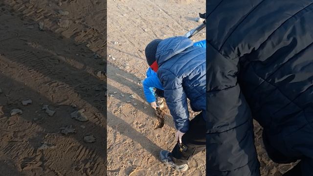 Кладоискатели🤣 ищем клад