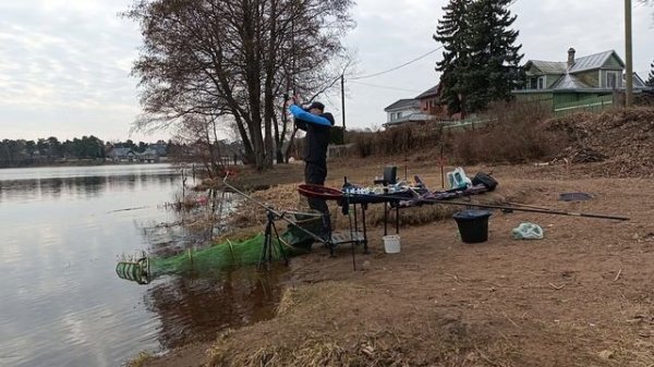 фидер весной