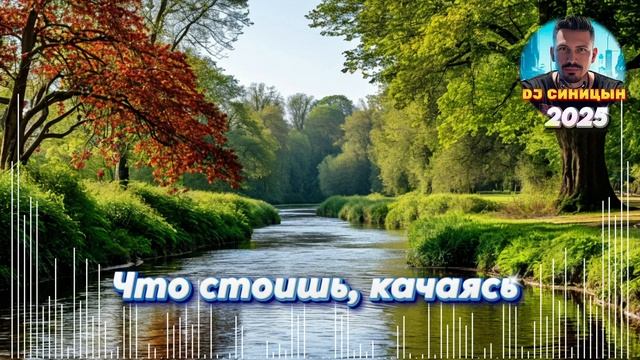 DJ СИНИЦЫН - Что стоишь, качаясь 2025 смотреть онлайн