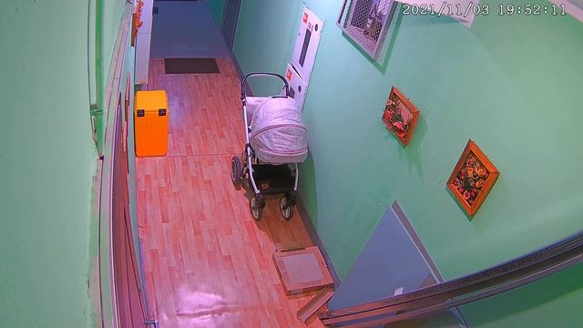 Визит перепесчиков населения!Железнодорожный. смотреть онлайн