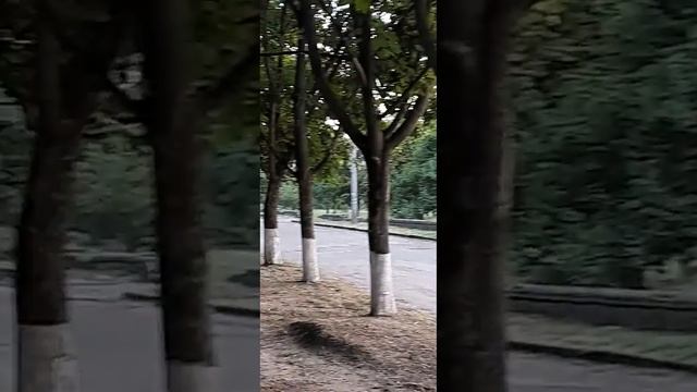 Закат солнца 30.07.21 смотреть онлайн