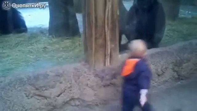 Мальчик и горилла смотреть онлайн