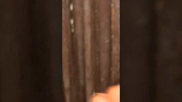 Школьники взломали подвал!!!Что с ними приключилось смотреть онлайн