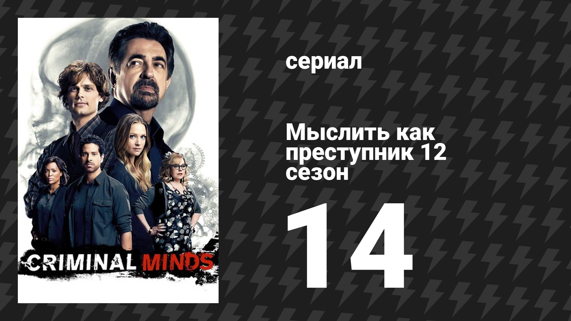 Мыслить как преступник 12 сезон 14 серия «Убийственный курс» (сериал, 2005-2020)