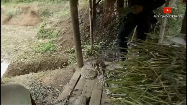Suasana Prewedding Di Kampung Asri Dan Sejuk смотреть онлайн