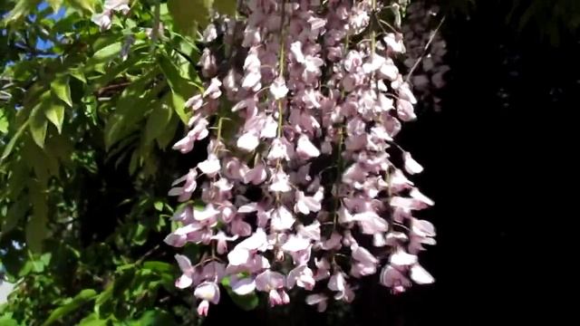 Работа со стихиями. Ч.4. Огонь смотреть онлайн