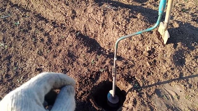 как посадить дерево смотреть онлайн