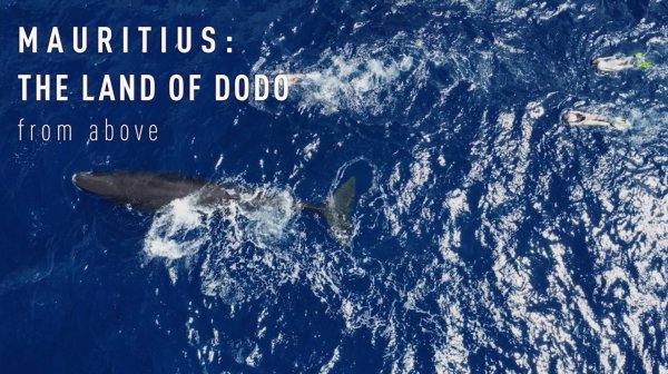 MAURITIUS: THE LAND OF DODO
from above