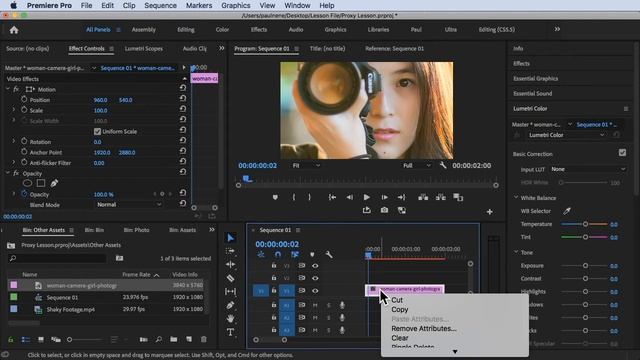 How to Use Scale to Frame Size and Set to Frame Size when Importing Still Images in Premiere Pro CC смотреть онлайн