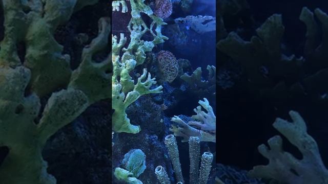 3516 1015620 mp3 смотреть онлайн