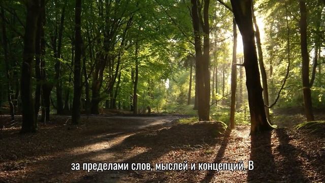 Путешествие к своему истинному Я смотреть онлайн