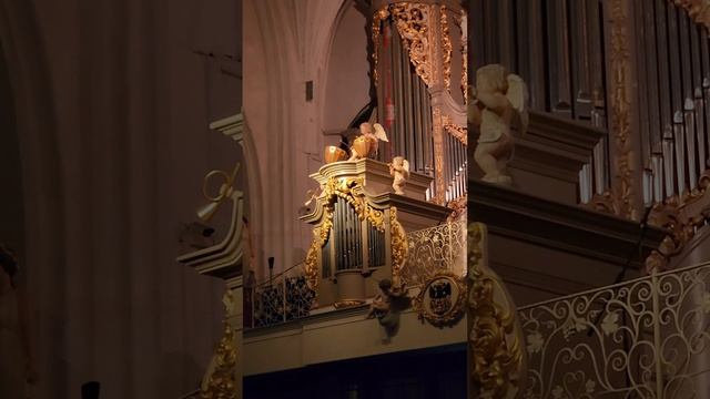 Органная музыка в Кафедральном соборе  февраль 2025г