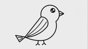 КАК ЛЕГКО НАРИСОВАТЬ КРАСИВУЮ ПТИЦУ