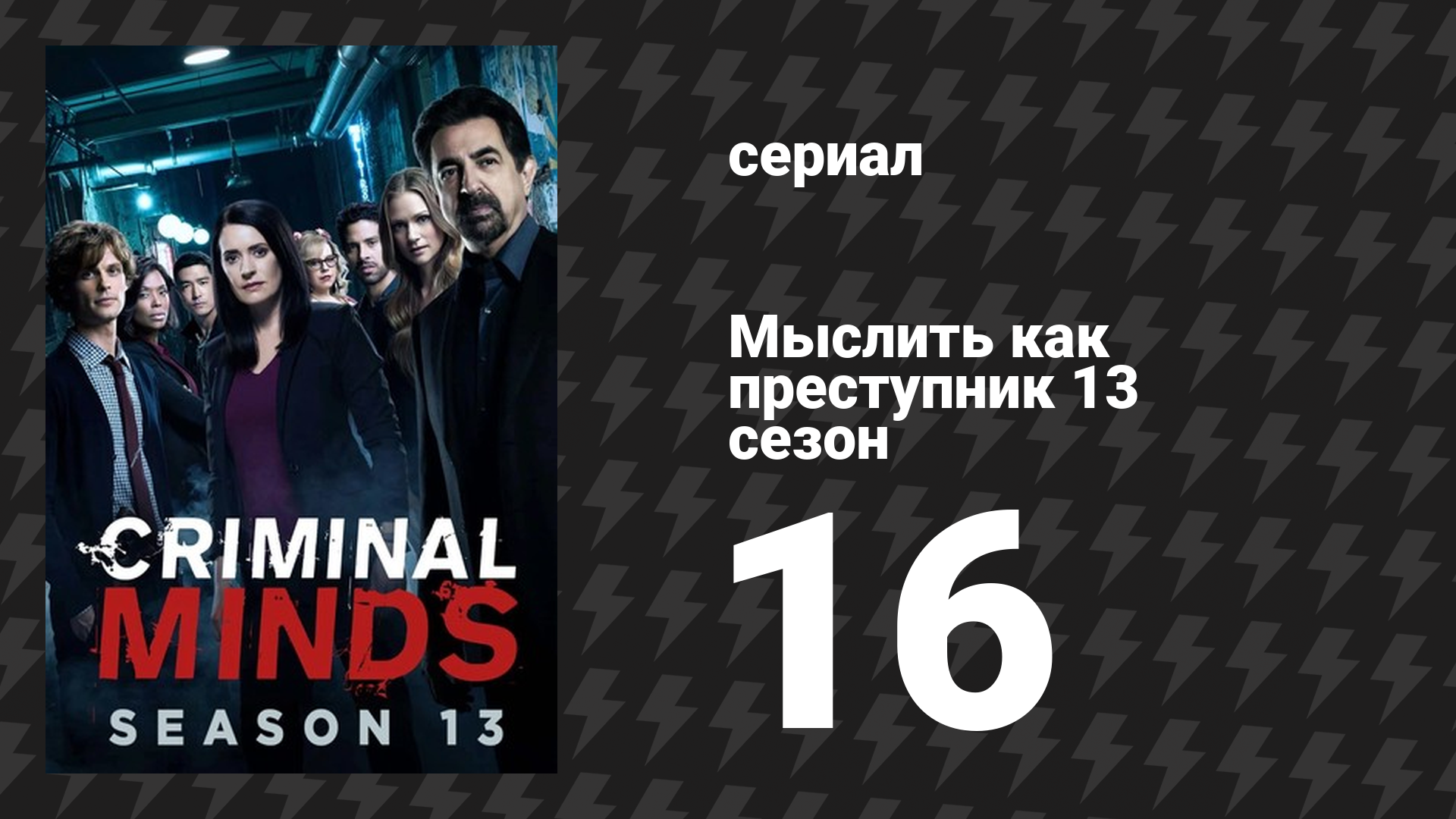 Мыслить как преступник 13 сезон 16 серия «Последняя попытка» (сериал, 2005-2020)