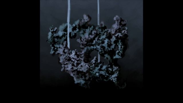 The Carebear- Everywhere In The Beginning Of Nowhere-Stage 6 (Remastered)