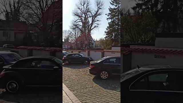 28 марта 2020 г. Гифхорн