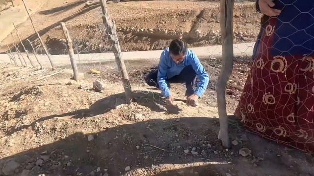 The Daily Life Of Parvaneh And Yusuf Nomads On The Agricultural Land