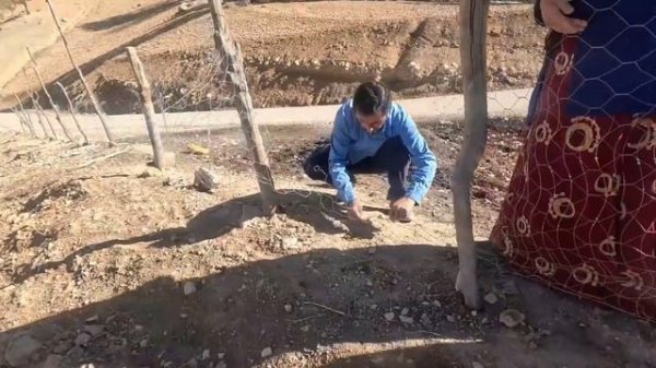 The daily life of Parvaneh and Yusuf nomads on the agricultural land