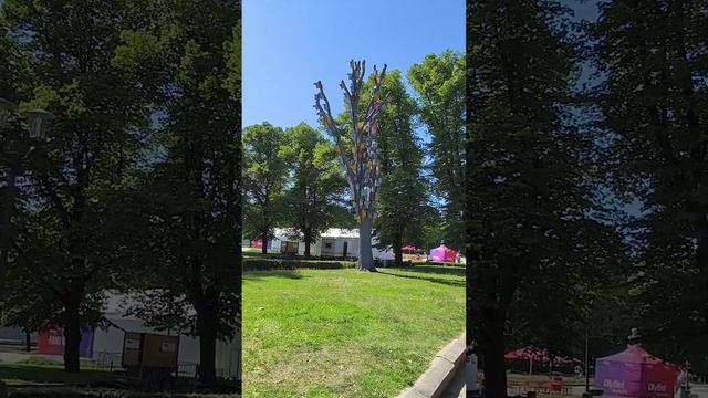 🍀✨ парк Эспланаде ✨ кафедральный собор ✨🍀 Рига ✨ Латвия ✨🍀#рига #riga ✨🍀