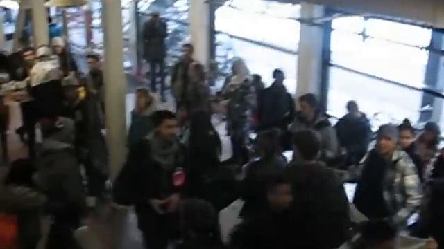 Just a bunch of pro-palestinian clowns in University of Winnipeg смотреть онлайн