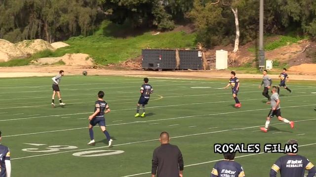 Goalie Gets Knocked Out *Must Watch Goals* смотреть онлайн