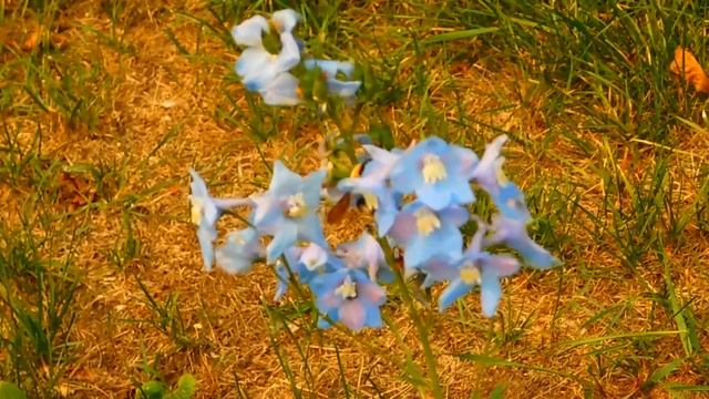 Таксист Прочитал Записку    История Про Девушку И Заброшенный Дом    Мир Вокруг 73