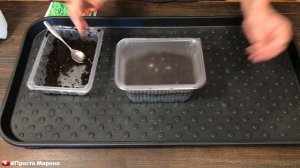 Как вырастить салат на подоконнике. Легко и просто.